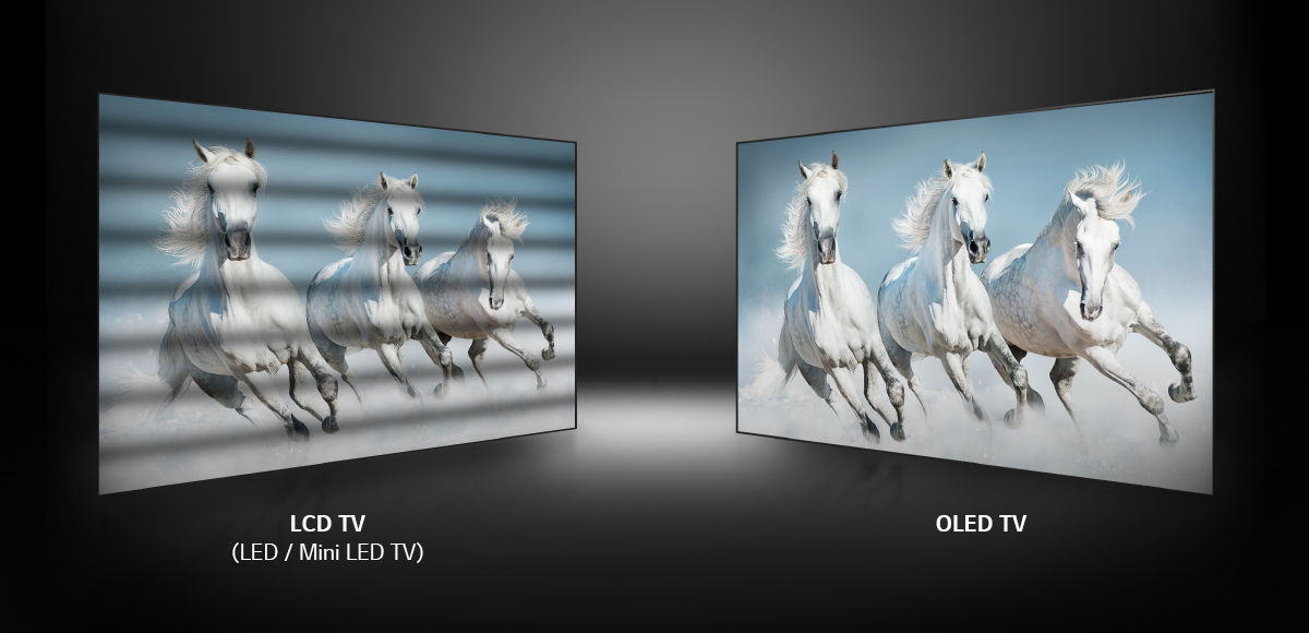 LCD TV보다 선명하고 있는 그대로의 컬러를 완벽히 전달하는 OLED TV